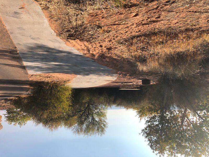 Pull into a dry camping site with some tree cover.