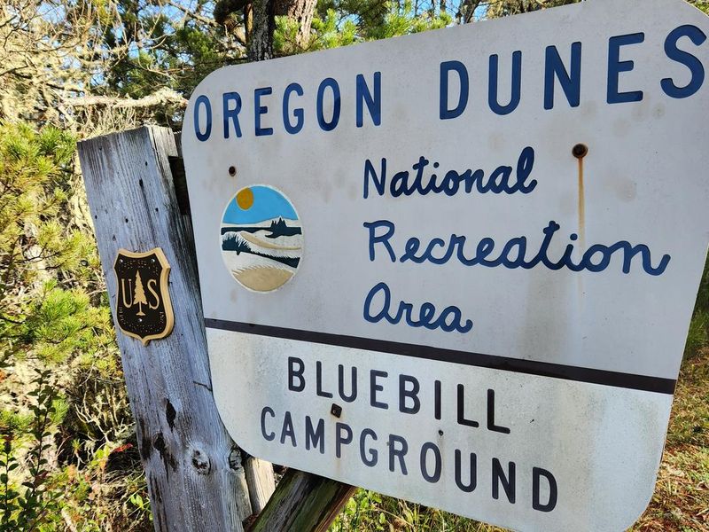 BLUEBILL CAMPGROUND SIGN