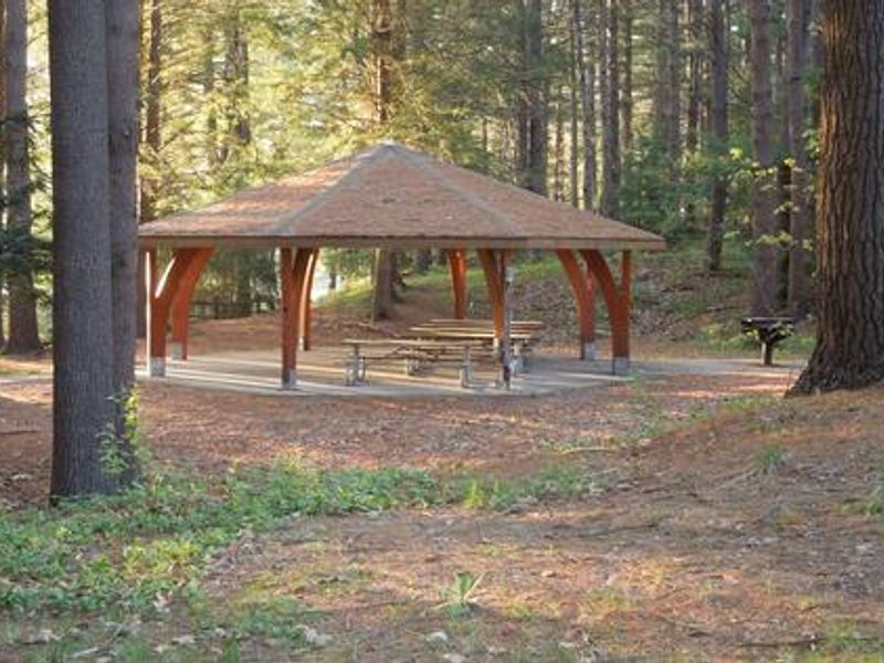 Shelter site 002, 8 tables- 50 person capacity, 1 large grill, electricity