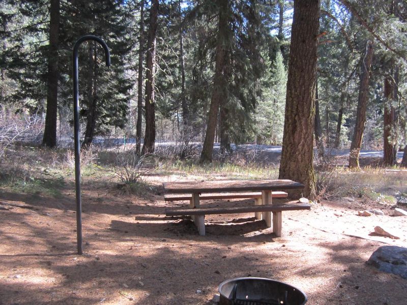 Ten Mile Site 10 is spacious and shady, but close to Highway 21.