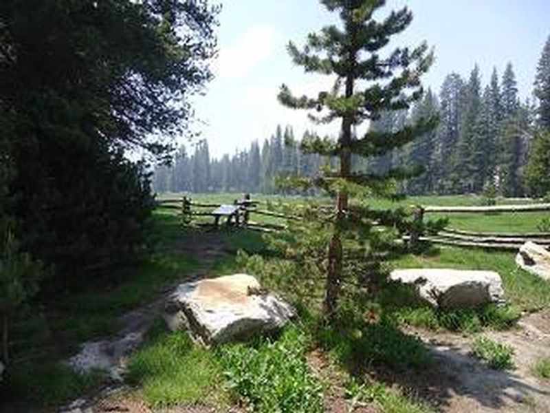 Big Meadow Site Information Sign