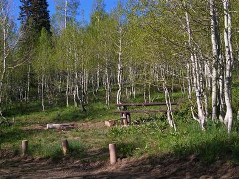 Gooseberry Group Campground