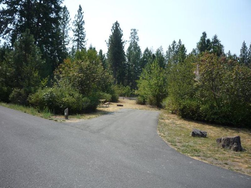 Hunters Campground trees in the background
