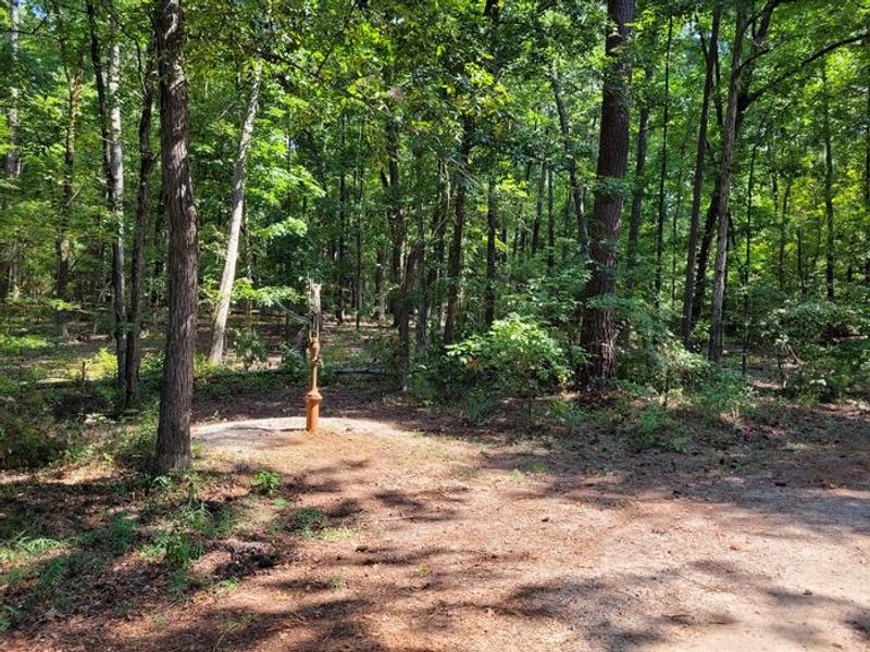 Hand Pump 11-14 loop