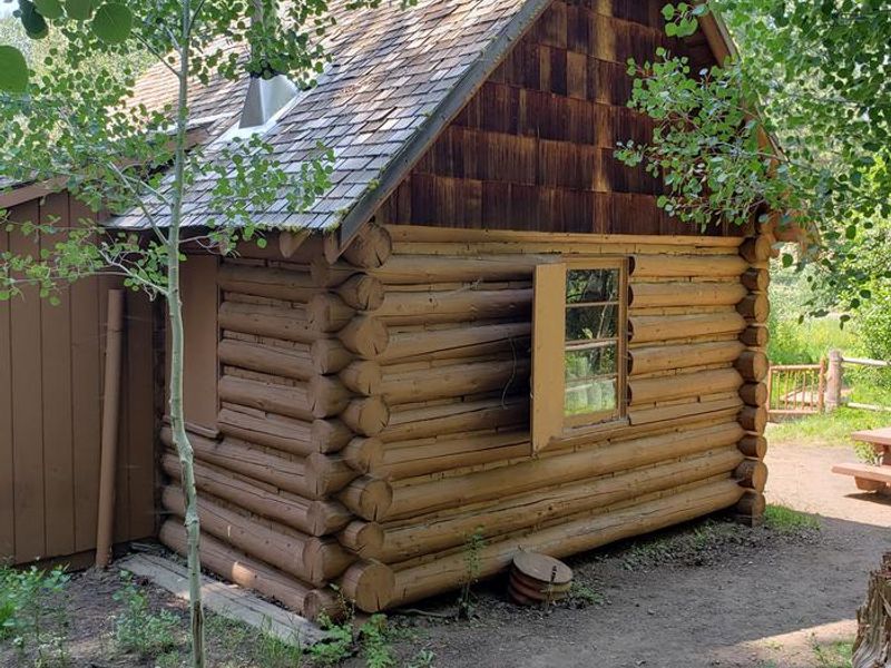 East Side of Cabin