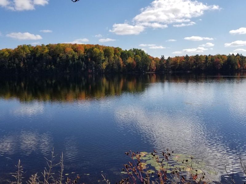 McKeever Lake View from Ewing Point Site
