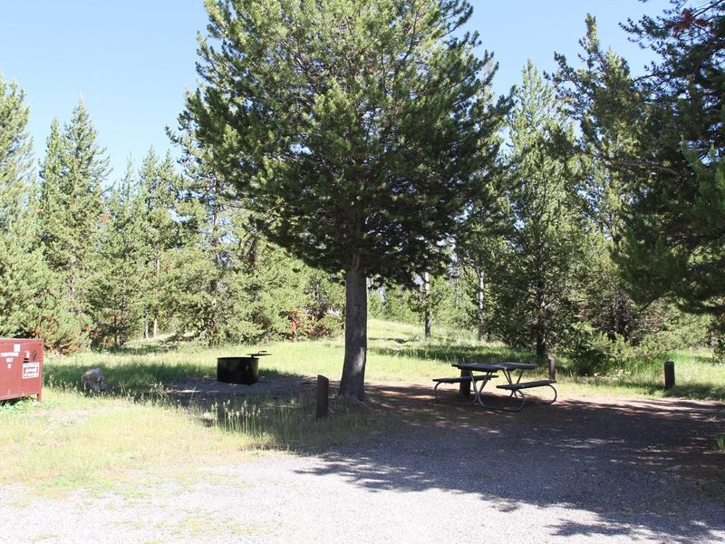 Indian Creek Campground site #12