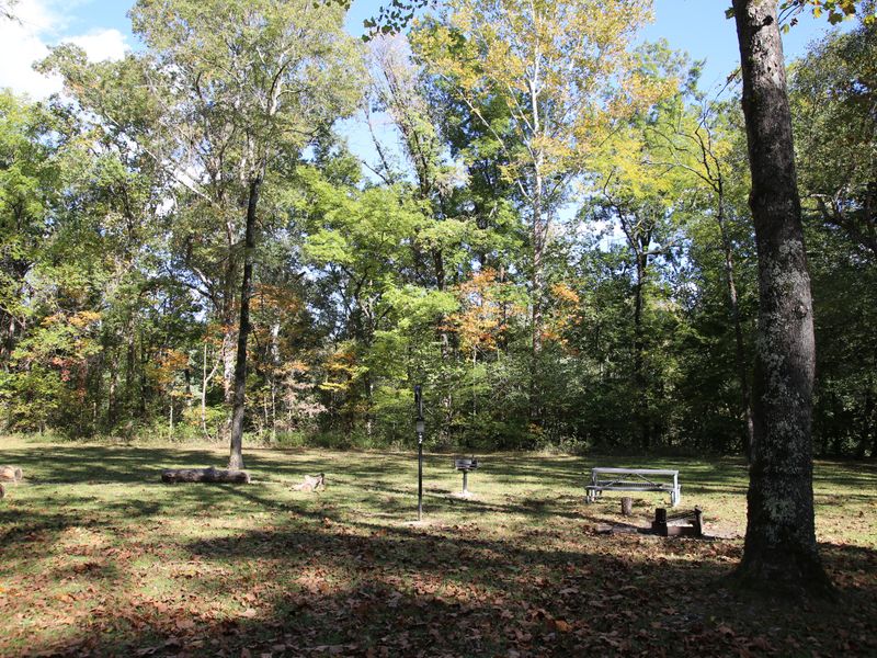 Standard sites offer basic amenities like fire rings, picnic tables, and lantern hooks.