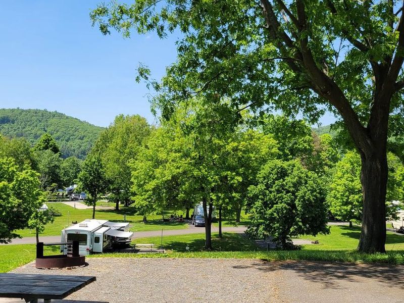 View from atop the Hickory Loop Sites at Ives Run