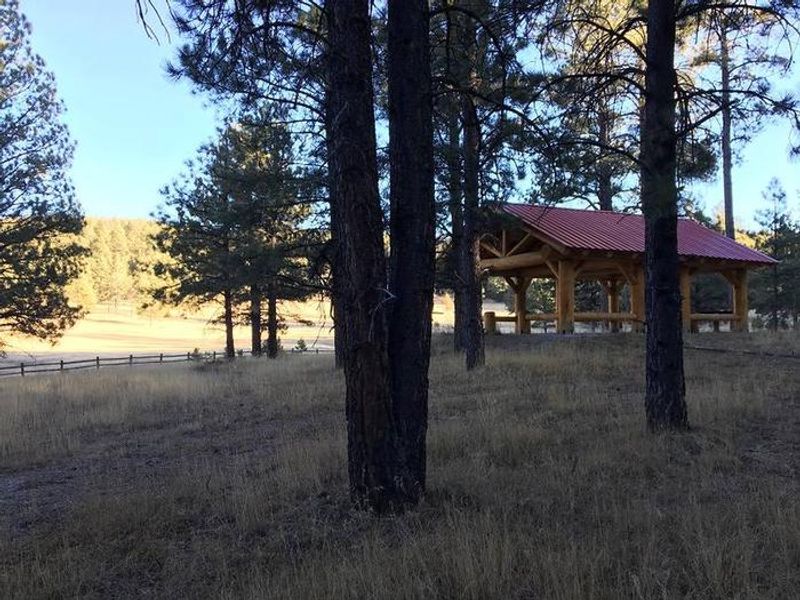 Amole Shelter with Meadow view