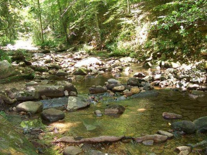 Parksville Lake RV Campground