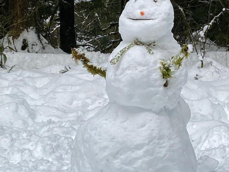 Snow bear at Wildwood Recreation Site 2022