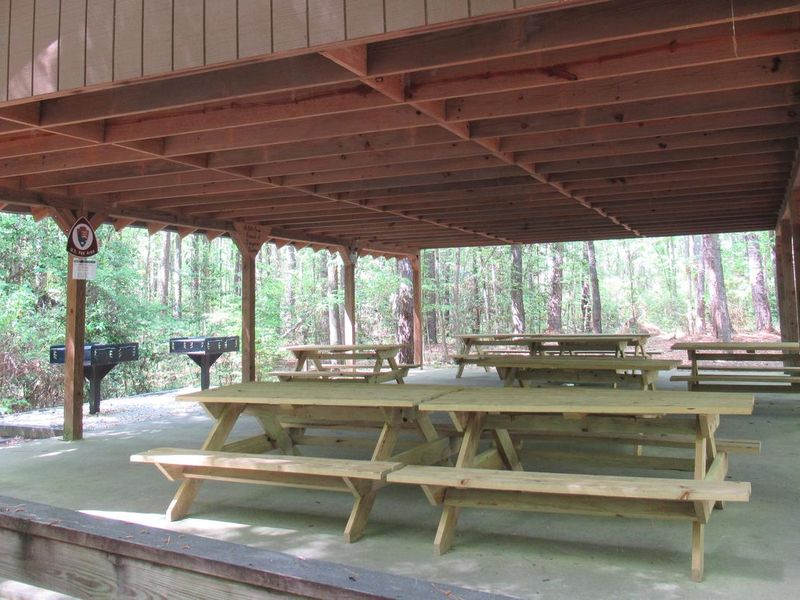 Congaree Picnic Shelter 