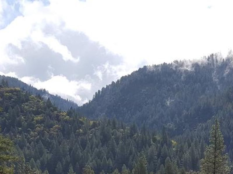 North Fork Yuba River Canyon