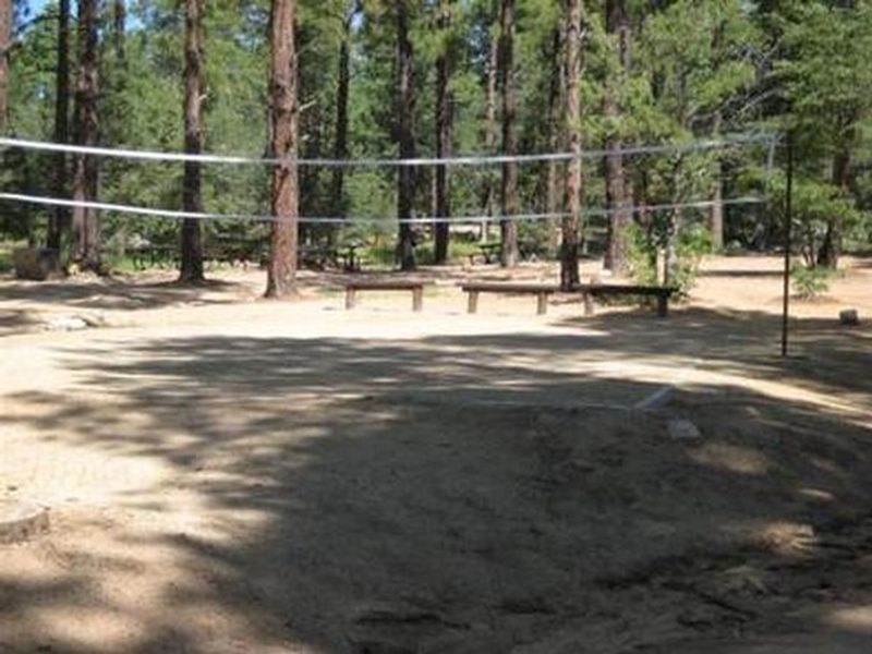 Upper Wolf Group Campsite Volleyball Court with Audience Benches