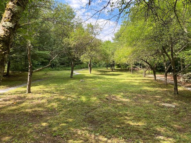 Trails through meadow