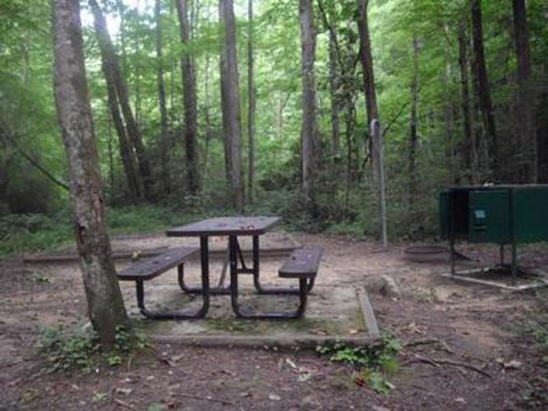 Picnic table sitting on tent pad with a food storage locker nearby.
