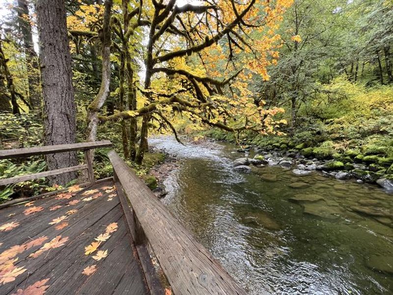 View of the South Santiam from the fishing platform.