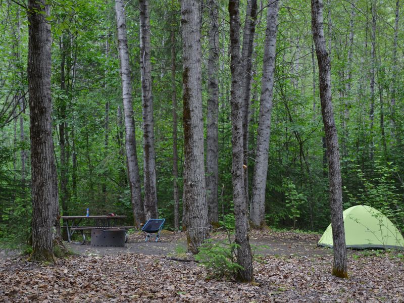 The Dyea campground represents a restful place after the hustle and bustle of Skagway.