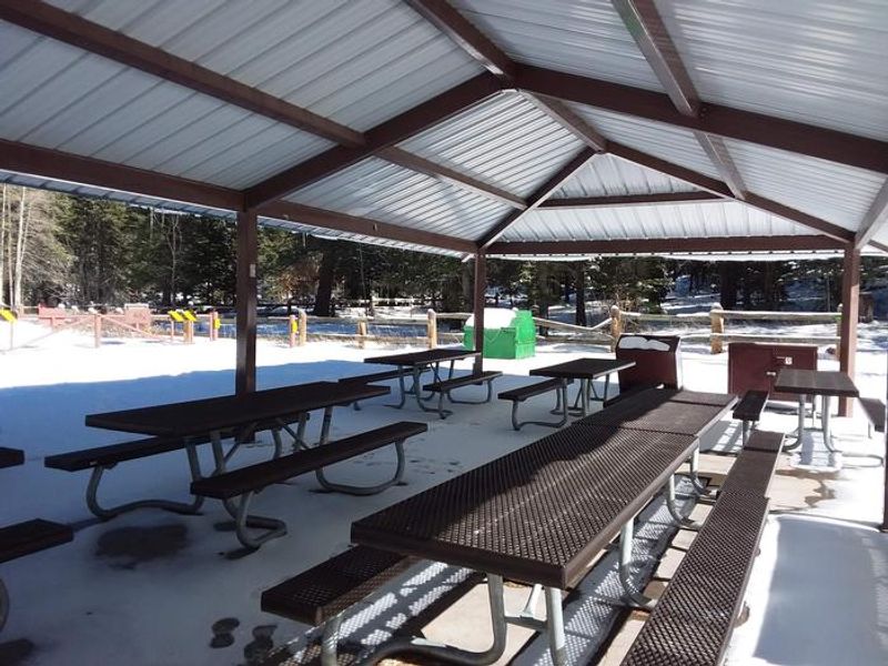 Black Bear Group Campground