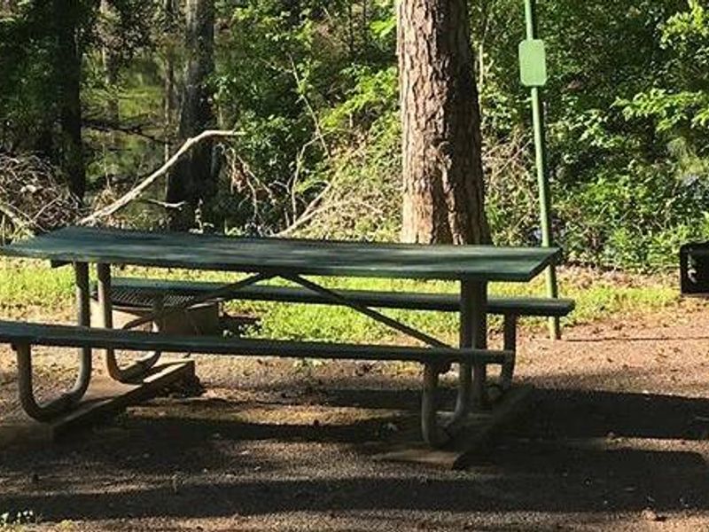 Campsite #7. Tent site with the following amenities: fire-pit, grill, picnic table, lantern pole, trash can.  Located along bayou.