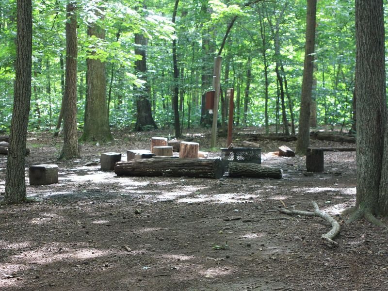 Campsite around fire pit with large tree stumps for sitting