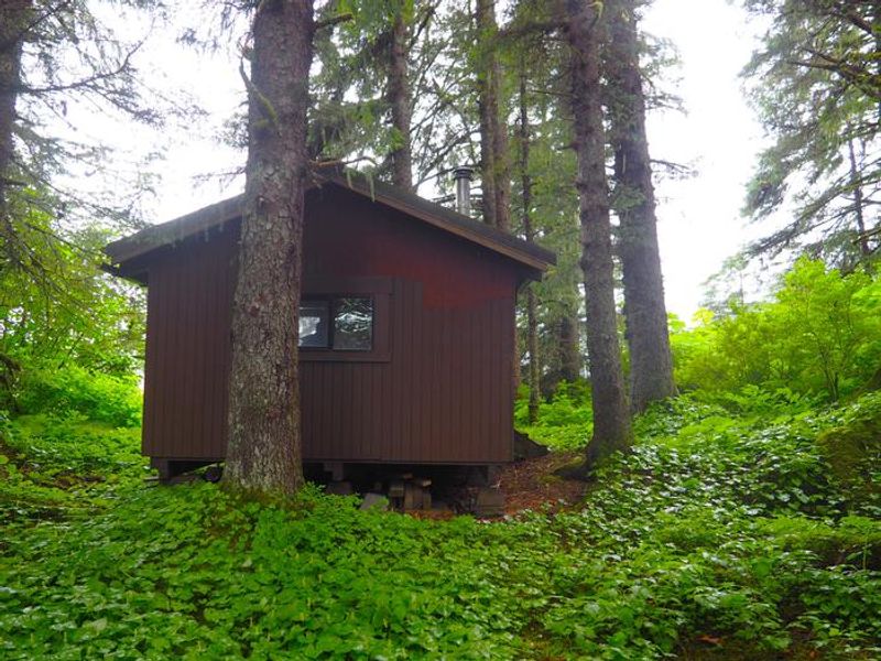 Gut Island 2 Cabin exterior from behind
