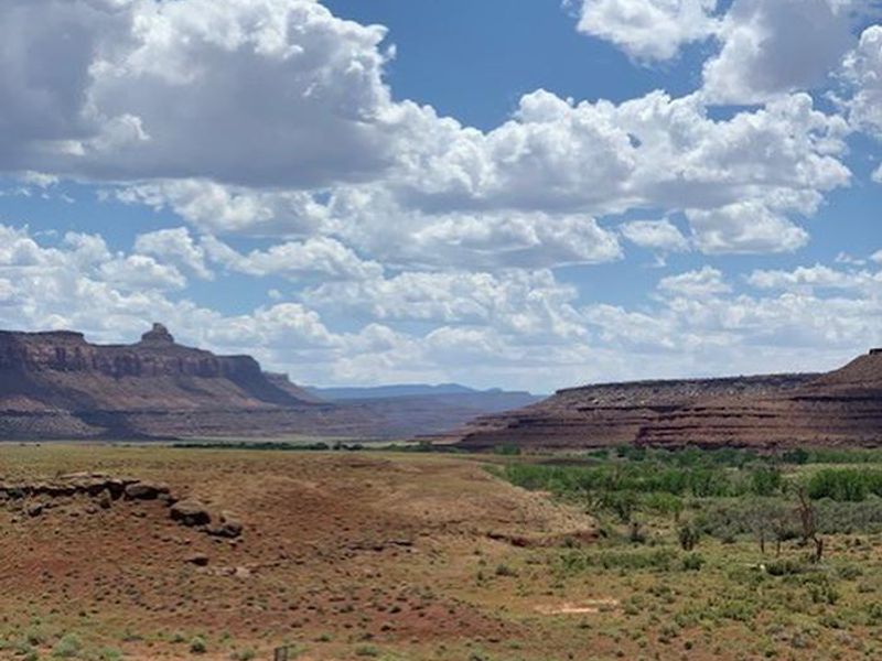 Superbowl Group Site shade structure, picnic tables, parking, and fire ring