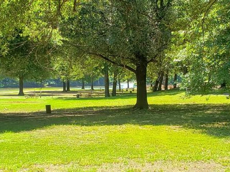 Clear Creek Campground