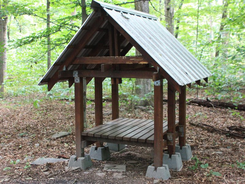 Small Shed with metal roof for firewood