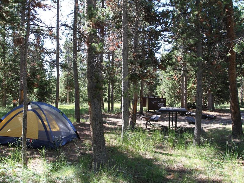 Indian Creek Campground site #5