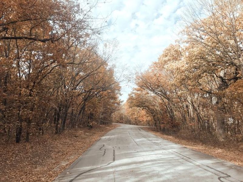 Redbud Bay entry road in the fall 2 