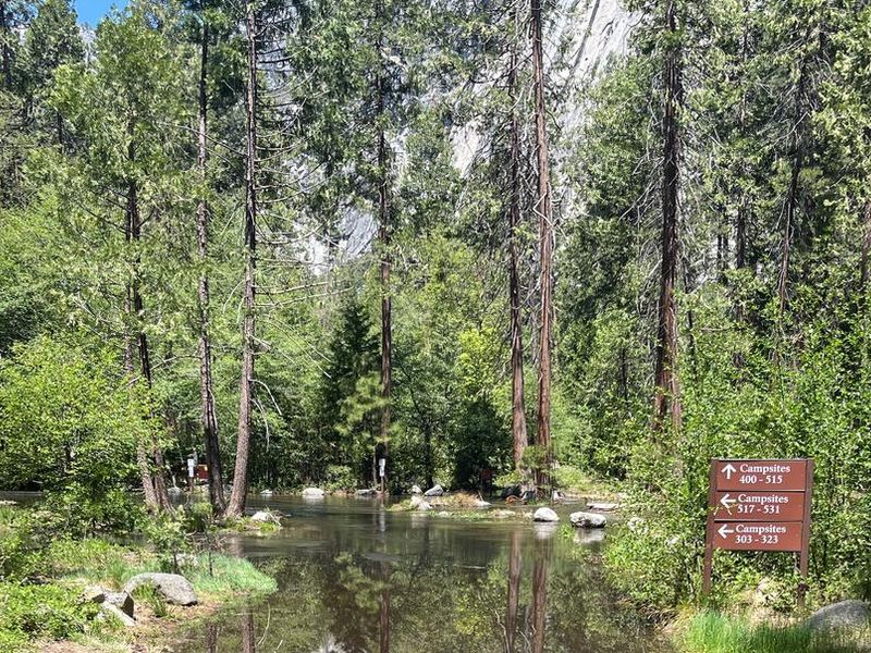 Tenaya Creek flooding into North Pines