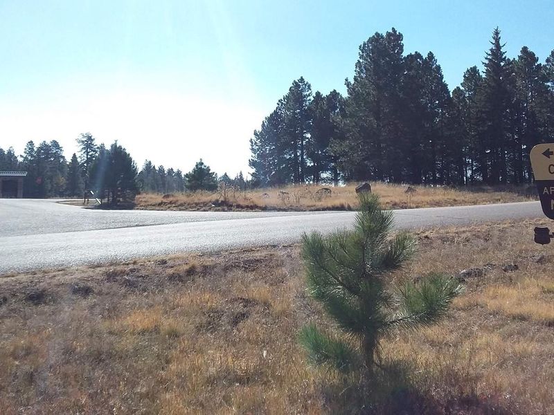 Apache Trout Campground entrance