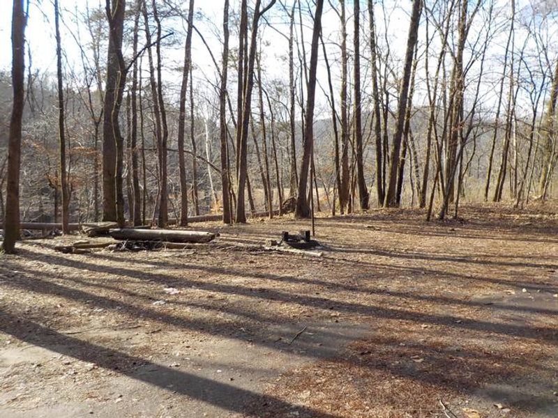 Dispersed Campsite #2