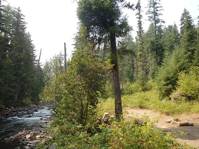Nestled along the American River