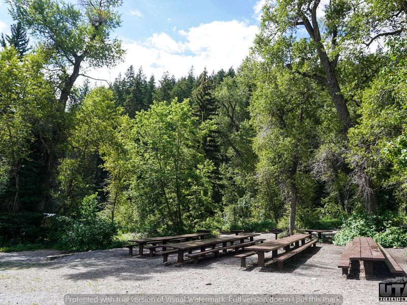 Theater In The Pines