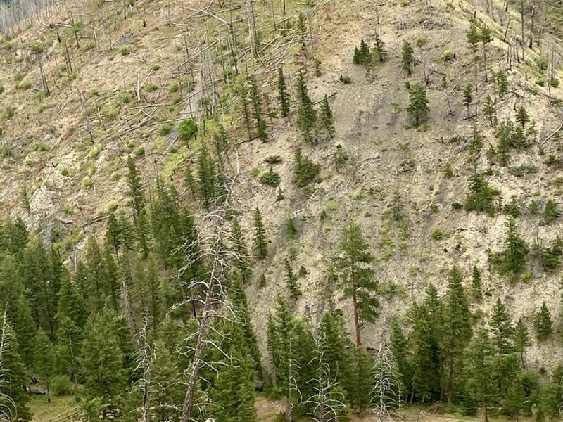 Riding down Placer into Deer Creek Cabin