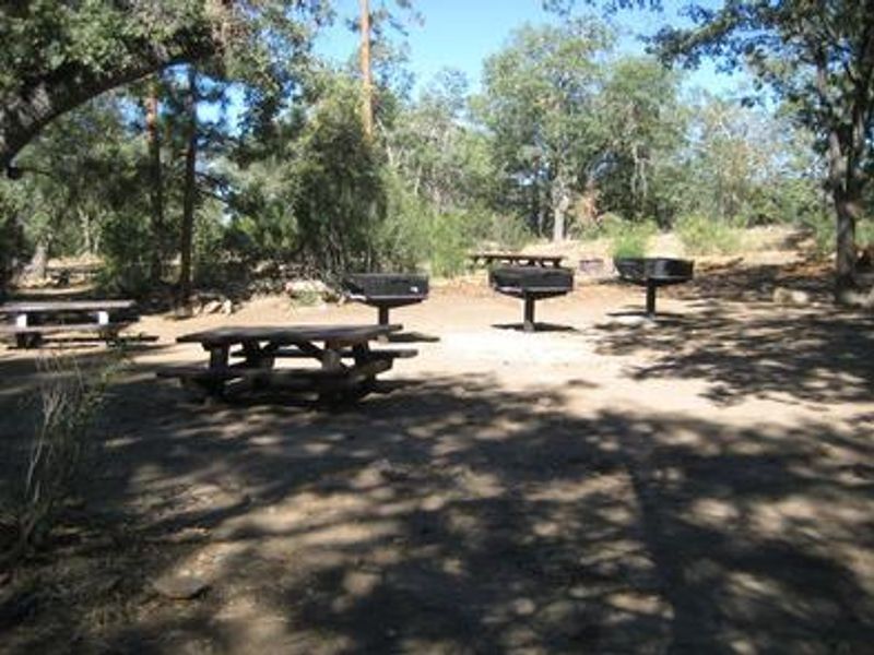 Shade, picnic tables & fire pits of the Oso Group Campground