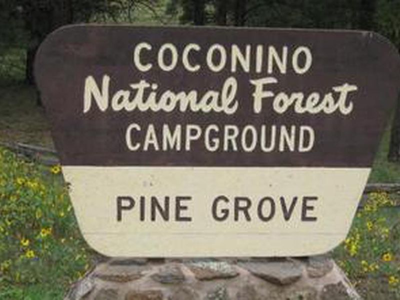 Pinegrove Campground Entrance Sign
