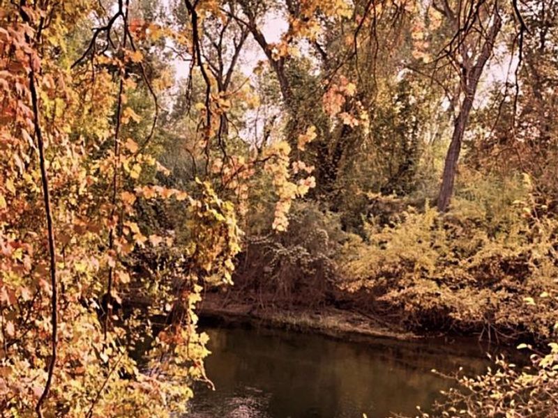 Beautiful fall colors to view at the Valley Oak Recreation Area. 