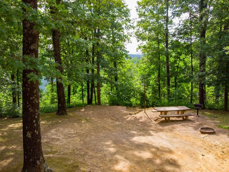 One of 9 shaded and clean campsites.