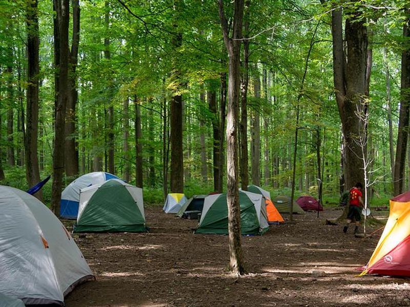 Youth enjoy rustic tent camping year-round.  Each of the 3 sites can accommodate 25 youth campers.