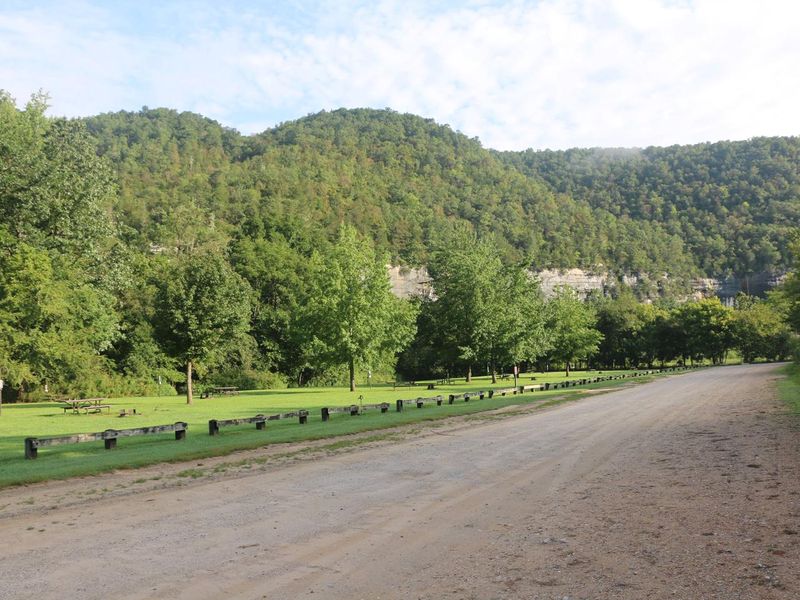 Steel Creek Campground Driveway