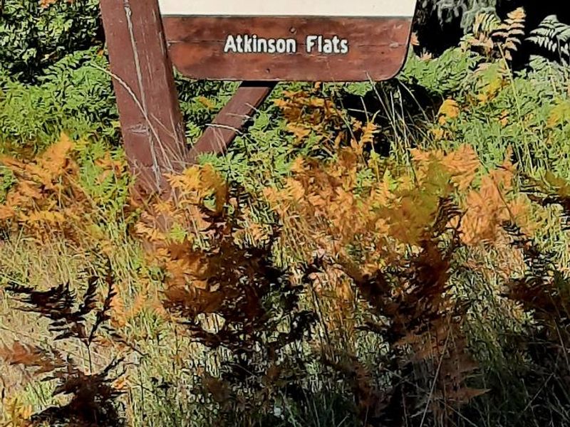 Entrance Sign