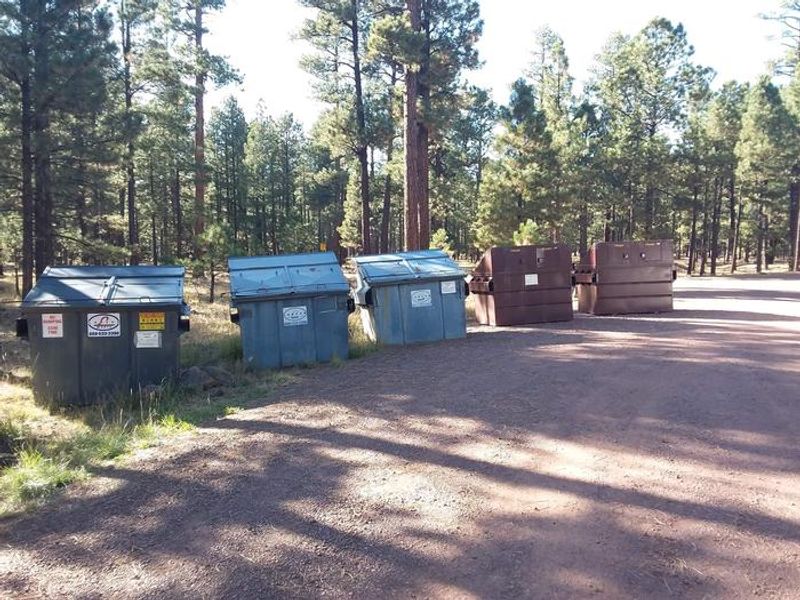 HOYER Trash Collection