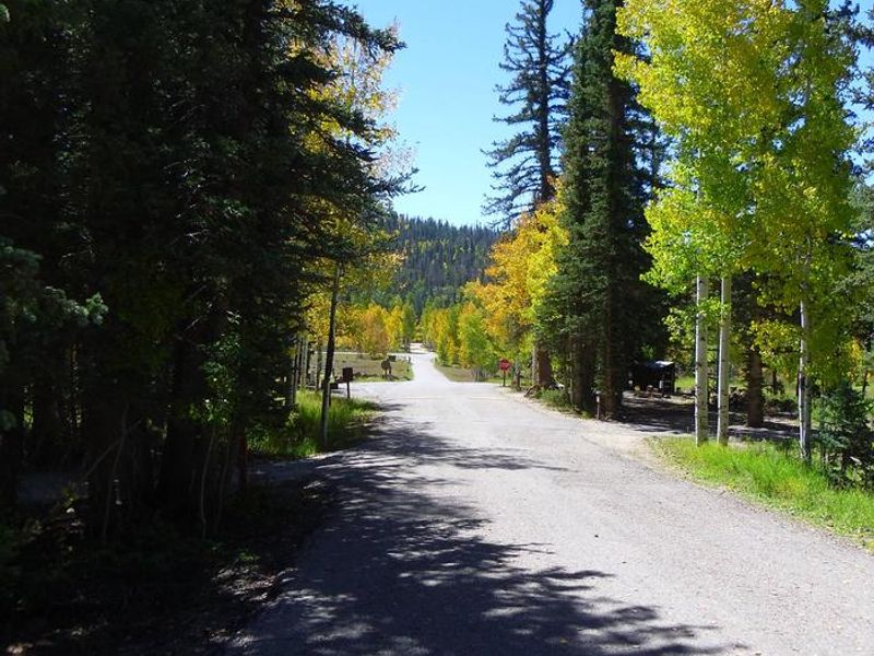 Fall colors in the campground