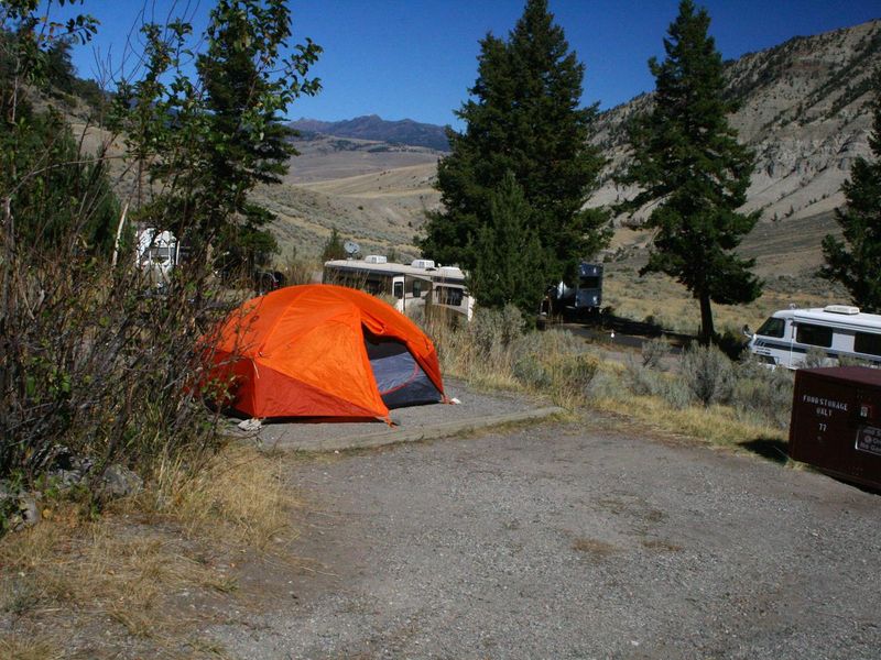Mammoth Campsite #77, looking north