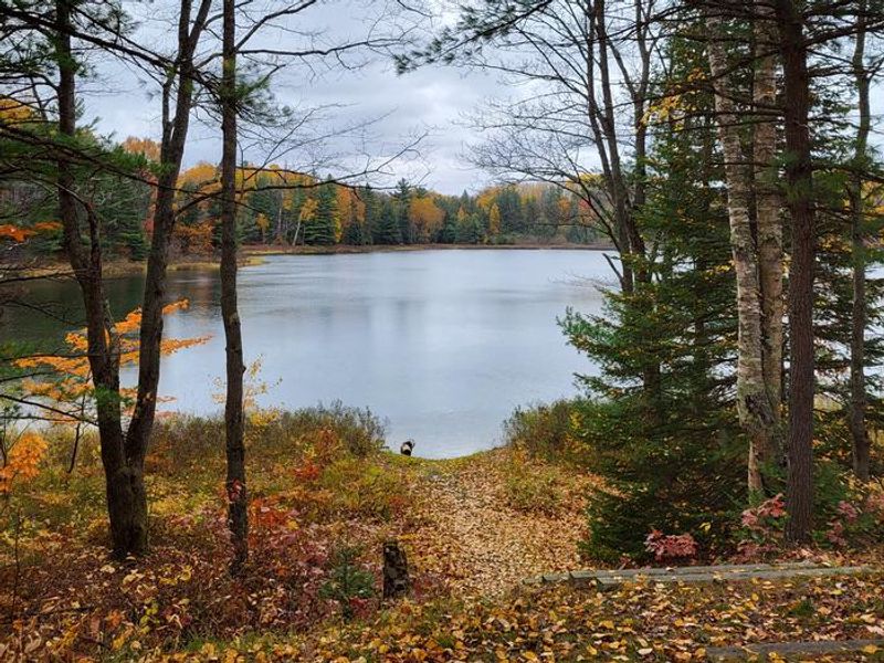 Carr Lake Water Access and stairs