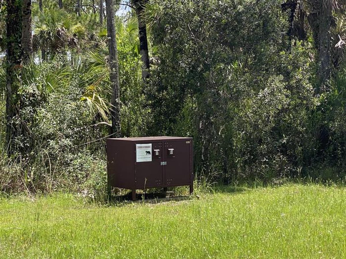 Bear Island Campground